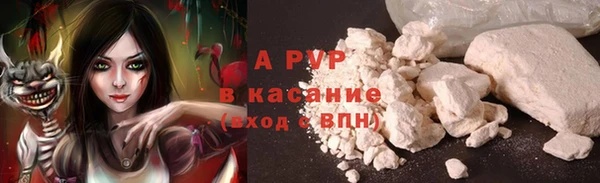 прущие грибы Алзамай
