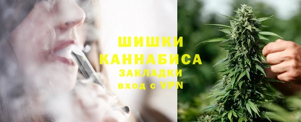 прущие грибы Алзамай