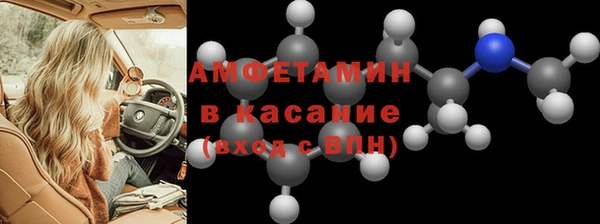 прущие грибы Алзамай