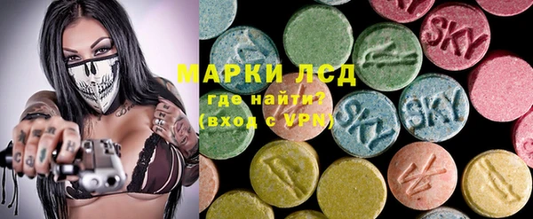 прущие грибы Алзамай
