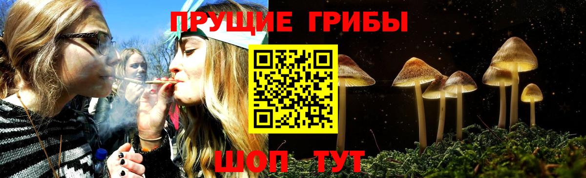 Галлюциногенные грибы ЛСД  Галлюциногенные грибы Cubensis  Солнечногорск  Вход с VPN 